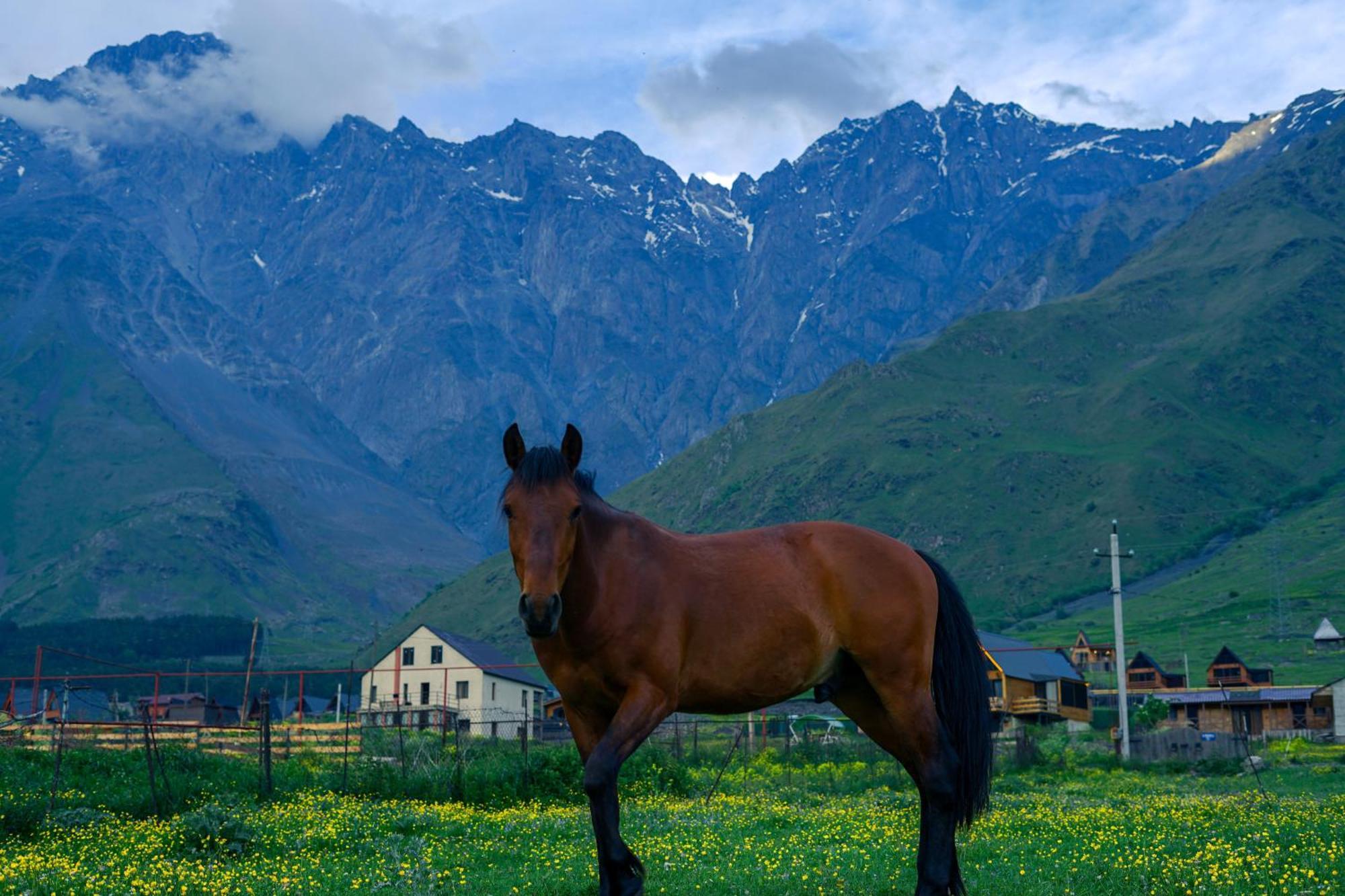 Savalley Kazbegi Exterior foto